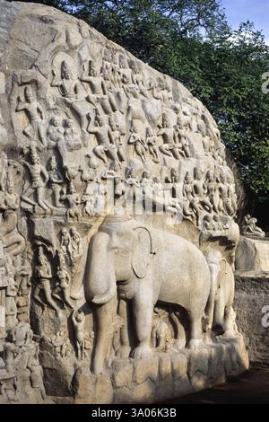 Pénitence Arjunas à Mahabalipuram Mamallapuram, Tamil Nadu, Inde, Asie Banque D'Images