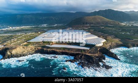Serre en plastique dans une plantation de bananes à Buenavista del Norte sur la côte nord de Tenerife dans les îles Canaries, Espagne Banque D'Images