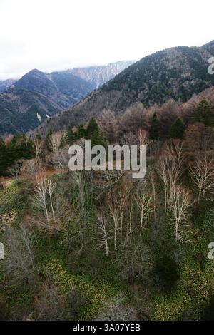 Vues depuis le téléphérique de Shinatoka dans les Alpes japonaises, préfecture de Gifu, Japon. Banque D'Images