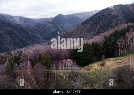 Vues depuis le téléphérique de Shinatoka dans les Alpes japonaises, préfecture de Gifu, Japon. Banque D'Images