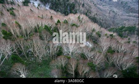 Vues depuis le téléphérique de Shinatoka dans les Alpes japonaises, préfecture de Gifu, Japon. Banque D'Images