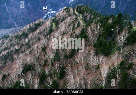 Vues depuis le téléphérique de Shinatoka dans les Alpes japonaises, préfecture de Gifu, Japon. Banque D'Images