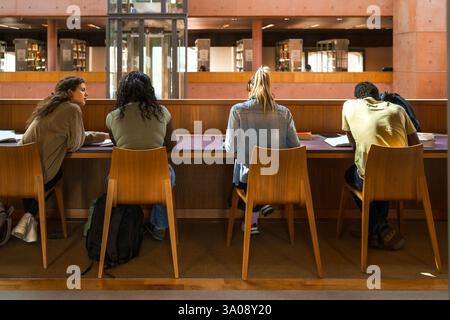 Jeunes amies discutant en étant assis par des étudiants qui étudient dans la bibliothèque universitaire Banque D'Images