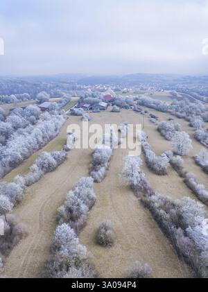 Vue aérienne hivernale des champs et d'un village avec des collines enneigées, Gechingen, district de Calw, Forêt Noire, Allemagne, Europe Banque D'Images