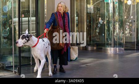 NAOMI WATTS dans THE FRIEND (2024), réalisé par DAVID SIEGEL et SCOTT MCGEHEE. Crédit : projets Big Creek / productions 3dot / album Banque D'Images