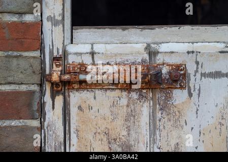Un vieux boulon de porte rouillé sur une porte vieillie avec de la peinture écaillée. Banque D'Images