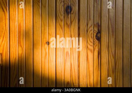 Fond et texture de lattes en bois sur le mur en plein soleil Banque D'Images