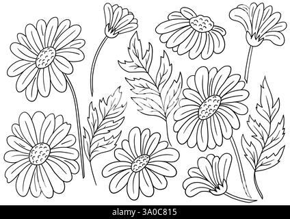 Camomille, Marguerite. Ensemble d'illustrations monochromes dans le style de dessin à la main. Dessin à la main, contour noir. Conception pour coloriage, cartes postales. Icônes, signes, bâton Illustration de Vecteur