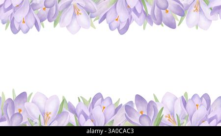 Bordure sans couture des crocus violets. Cadre horizontal dessiné à la main avec des fleurs de printemps violettes et des feuilles. Fond d'aquarelle pour la conception de carte de voeux Banque D'Images