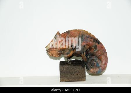 Dębinki, Gmina Zabrodzie, dans le comté de Wyszków, dans la voïvodie de Masovie, dans le centre-est de la Pologne Banque D'Images