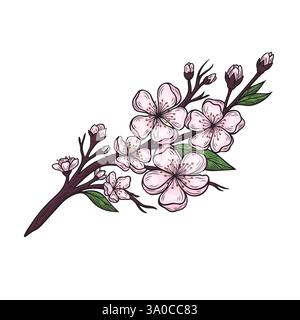 Branche avec fleurs de cerisier Illustration de Vecteur