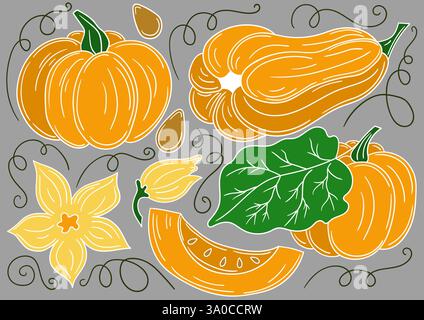 Citrouille. Ensemble d'illustrations en couleur dans le style de dessin à la main sur fond gris. Contour blanc. Conception pour cartes postales, flyers, bannières. Icônes, signes, autocollant Illustration de Vecteur