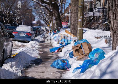 Montréal, Canada. 3 mars 2025 ; les sacs de recyclage envahissent les rues puisque la collecte des ordures est suspendue depuis la dernière tempête hivernale Banque D'Images