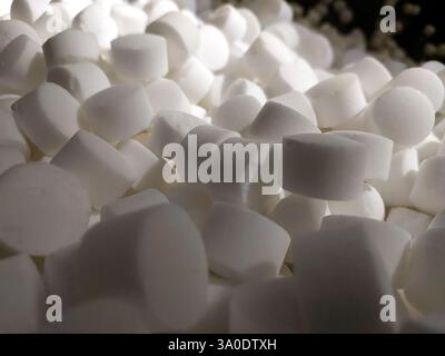 Les morceaux de sel en comprimés blancs sont magnifiquement disposés dans une composition détaillée, capturant leurs surfaces lisses et leurs formes uniques sous une lèvre douce et naturelle Banque D'Images