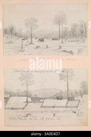 Chasse et autres croquis en Afrique centrale, Congo, Kwilu, & South West Coast District 1884-1888, Afrique centrale, Nzaubula, œuvres illustrées, carnets de croquis, voyage, la scène représente un paysage tranquille divisé en deux panneaux. Le panneau supérieur présente un vaste champ ouvert parsemé d'arbres clairsemés et de quelques animaux de pâturage, peut-être du bétail, sans être dérangés sous un large ciel. Les douces ondulations du sol suggèrent une étendue naturelle, tandis que les montagnes lointaines créent une toile de fond douce. Le panneau inférieur déplace la mise au point sur une scène plus structurée avec un bâtiment simple à l'avant-plan, avec un surrou Banque D'Images