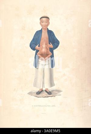 Journal de la navigation autour du globe, de la frégate la Thétis et de la corvette L'espérance, pendant les années 1824, 1825 et 1826, Paris, A. Bertrand,1837, description, et voyages, corvette L'espérance, expéditions scientifiques, Amérique du Sud, frégate Thétis, voyages autour du monde., Une figure traditionnelle se tient confiante, portant un vêtement bleu et un pantalon blanc, avec une expression sereine. La figure a des mains positionnées loin les unes des autres, révélant une représentation anatomique des organes internes. Cette illustration capture les complexités de l'anatomie humaine, mettant en valeur l'estomac et les autres Banque D'Images