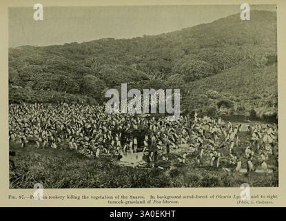 Les plantes néo-zélandaises et leur histoire Wellington N.Z. M.F. Marks Govt. Imprimeur 1919 plantes néo-zélandaises Olearia lyallii Poa litorosa le pingouin Snares Eudyptes robustus Leonard Cockayne Snares pingouin histsciart, Un paysage tentaculaire présentant une collection dense de rochers et de rochers, disposés dans un motif apparemment organisé. En arrière-plan, des collines vallonnées s'élèvent, couvertes de végétation, créant un contraste saisissant entre les textures accidentées des rochers et les contours doux du paysage. La scène évoque un sens de l'histoire naturelle, faisant peut-être allusion aux formations géologiques de l'Ar Banque D'Images
