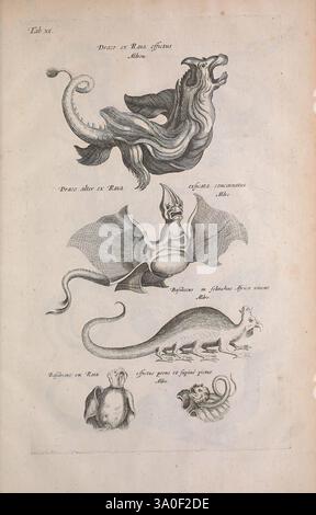 Historiae naturalis de quadrupedibus libri Amstelodami apud Ioannem Iacobi fil. Schipper MDCLVII [1657] animaux oiseaux insectes prelinnean œuvres serpents zoologie sirène monstres mythiques vrais frayeurs page halloween Banque D'Images