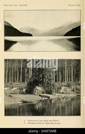 Le Auk, Washington, D. C, American Ornithologists' Union, 1884, oiseaux, périodiques, cette scène capture un lac tranquille bordé de forêts denses et de montagnes époustouflantes. La section supérieure présente une étendue d'eau calme reflétant le paysage environnant, créant une vue sereine sur l'environnement naturel. Ci-dessous, une plus petite étendue d'eau est encadrée par de grands arbres, avec un quai avec quelques bateaux amarrés à proximité. Ce cadre idyllique met l'accent sur la beauté de la nature et la tranquillité qui vient de la proximité de l'eau, mettant en valeur différentes perspectives du lac Crescent. Les annotations fournissent c Banque D'Images