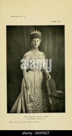 The Emu Melbourne Royal Australasian Ornithologists Union 1901, Australasia Ornithology Periodicals Portraits Queen Mary, Une figure royale, se tient debout, illustrant la grâce et l'autorité. Ornée d'une robe élaborée qui présente des détails complexes et des embellissements élégants, sa tenue reflète un mélange de raffinement et de tradition royale. Une délicate couronne repose sur sa tête, signifiant son statut et sa présence. Sa posture est digne, avec une main tenant un objet décoratif qui ajoute à son comportement élégant. La subtile toile de fond complète sa grandeur, ce qui en fait le point focal de la scène. Banque D'Images