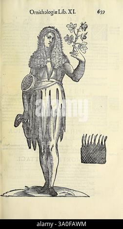 Vlyssis Aldrovandi philosophi ac medici Bononiensis historiam naturalem in gymnasio Bononiensi profitentis Ornithologiae hoc est de avibus historiae libri XII Bononiae apud Franciscum de Franciscis Senensem MDXCIX-MDCXXXVII [1599-1637], figure fantastique ornée de fourrure et de vêtements lamentés, tenant avec confiance une délicate fleur en l'une main tandis que l'autre repose sur un petit bouclier. La figure dégage une présence mystérieuse, mêlant des éléments de la nature et des traditions anciennes. Un panier de tissage stylisé ou un peigne se trouve sur le côté, suggérant un lien avec l'artisanat ou la vie quotidienne. Le surr Banque D'Images