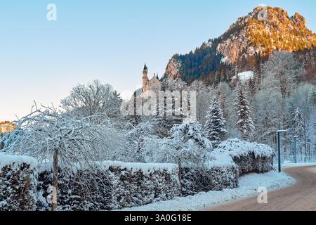 Cette photographie haute résolution à couper le souffle capture l'emblématique château de Neuschwanstein, une structure de conte de fées avec un extérieur blanc et un Strikin Banque D'Images
