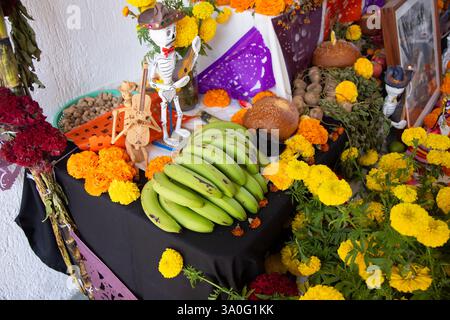 Offre avec décorations et nourriture pour le jour des morts dans les rues de la ville de Oaxaca au Mexique Banque D'Images