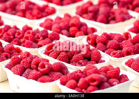 Framboises rouges dans de petits paniers dans un marché alimentaire de rue prêt à vendre et à manger Banque D'Images