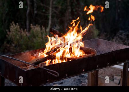 Le charbon de bois et le bois de chauffage brûlent dans le barbecue, préparation pour la cuisson du kebab de viande Banque D'Images