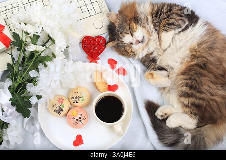 Bureau de travail moderne pour femme, bureau à domicile confortable avec chat endormi, concept de fête des mères, journée des femmes. Ordinateur, café, coeurs rouges, fleurs et gâteaux sur une lièvre Banque D'Images