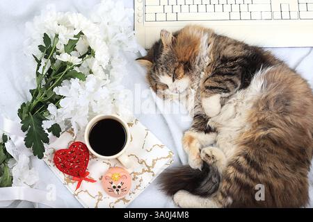 Bureau de travail moderne pour femme, bureau à domicile confortable avec chat endormi, concept de fête des mères, journée des femmes. Ordinateur, café, coeurs rouges, fleurs et gâteaux sur une lièvre Banque D'Images