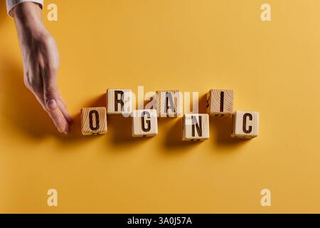 Blocs en bois avec texte organique de concept Banque D'Images