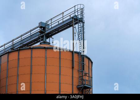 Un grand silo à grains cylindriques se tient bien en évidence sur un fond nuageux. Le silo dispose d'une échelle métallique et d'un système de convoyeur aérien, indiquant son utilisation dans le stockage agricole. Banque D'Images