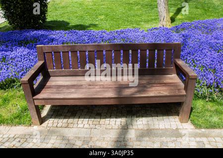 Banc en bois trouvés au milieu d'un parc Banque D'Images