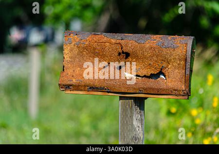 Gros plan d'une boîte aux lettres rurale rouillée et endommagée devant des arbres en été. Banque D'Images