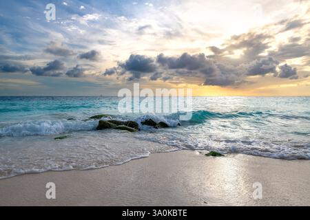 Divi Beach à Aruba offre un sable doux et des vagues douces au coucher du soleil. Les visiteurs peuvent profiter de moments sereins tout en s'imprégnant de l'atmosphère tropicale. Banque D'Images