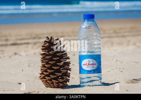 Cette scène de plage minimaliste présente un gros plan d'une grande pomme de pin debout à côté d'une bouteille d'eau en plastique transparent sur la plage de sable. Le w Banque D'Images
