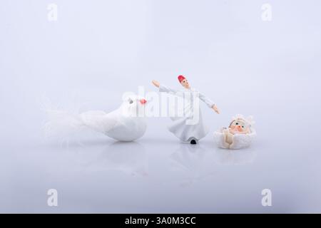 Derviche tourneur par le côté d'un oiseau blanc sur fond blanc Banque D'Images