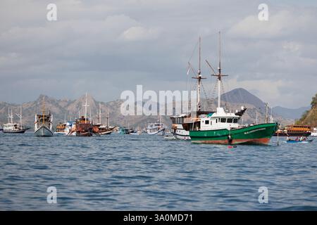 Vue du port de Labuan Bajo, est de Nusa Tenggara, Indonésie. Labuan Bajo est le point de départ pour les croisières au parc national de Komodo. Banque D'Images