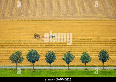 Vue aérienne, avenue des arbres à la zone industrielle de Kalkofen près de Westendorf et travaux de terrain avec tracteur, champs agricoles jaunes, formes et couleurs, Banque D'Images