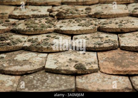 tuile de toit vintage avec mousse sur le dessus Banque D'Images