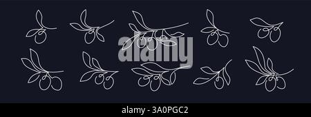 Olives dans la collecte en ligne continue. Style d'esquisse artistique vectorielle. Signe minimaliste isolé. Arborescence graphique, branche. Imprimé cuisine méditerranéenne, arôme frais o Illustration de Vecteur