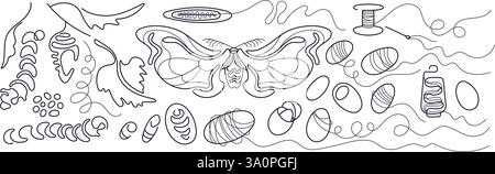 Teigne de soie, vers, larve, chenille, cocons. Illustration du cycle de vie du papillon. Fils fins pour le design textile. Collection de lignes continues vectorielles i Illustration de Vecteur