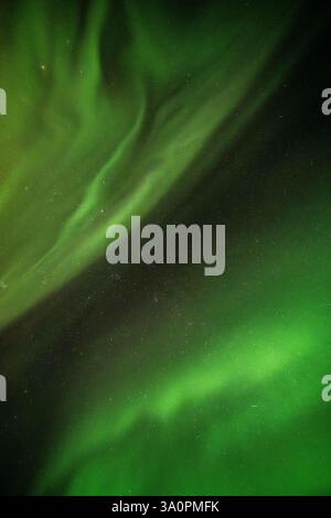 Nordlichter (Aurora Borealis) über dem Brúarfoss Wasserfall, ein verstecktes Naturjuwel in der Landschaft Westislands, entlang der Golden Circle route in der Nacht von 16.02.2025. auf 17.02.2025. // aurores boréales (aurores boréales) sur la cascade de Brúarfoss, un joyau naturel caché dans le paysage de l'ouest de l'Islande, le long de la route du cercle d'Or dans la nuit du 16.02.2025. au 17.02.2025. - 20250216 PD32204 Banque D'Images