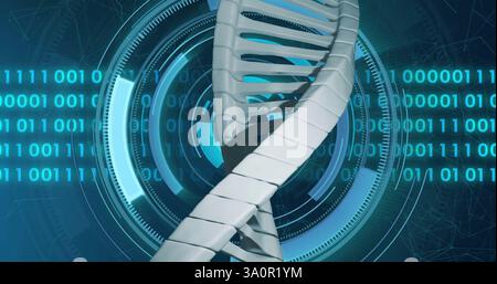 Image de brin d'adn sur balayage et traitement des données Banque D'Images