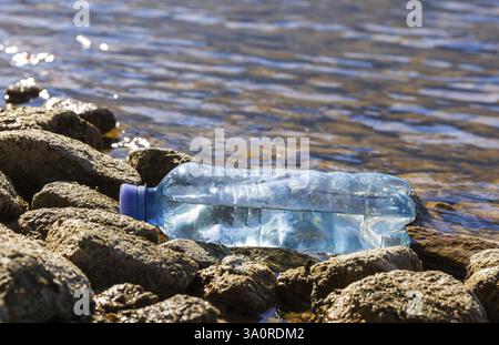 Pollution de l'environnement, bouteille en plastique échouée sur la rive du lac, déchets ménagers, Autriche, Europe Banque D'Images