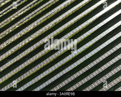 Rangées de panneaux solaires dans une centrale photovoltaïque près de la ville d'Espejo. Vue aérienne. Tir par drone. Province de Cordoue, Andalousie, Espagne, Europe Banque D'Images