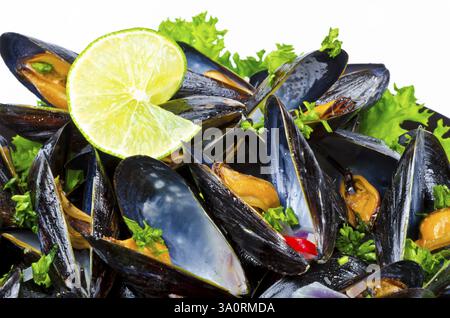 Moules Banque D'Images
