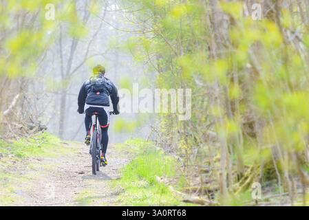 Un VTT navigue sur un sentier sinueux dans une forêt suédoise luxuriante au printemps. Une verdure fraîche entoure le chemin, créant une atmosphère tranquille p Banque D'Images