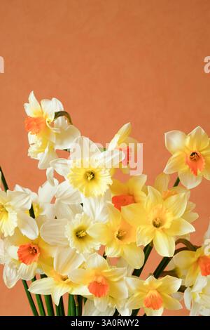 Bouquet de jonquilles sur fond orange, photo esthétique. Copier l'espace Banque D'Images